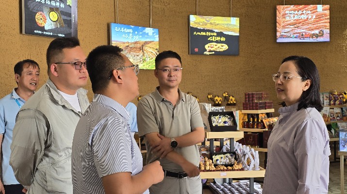 馬文玫總經理調研武威張掖片區(qū)項目