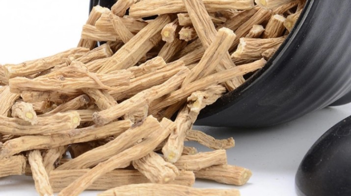 享游渭河源丨千年藥香浸潤的山水秘境，開啟一場康養之旅